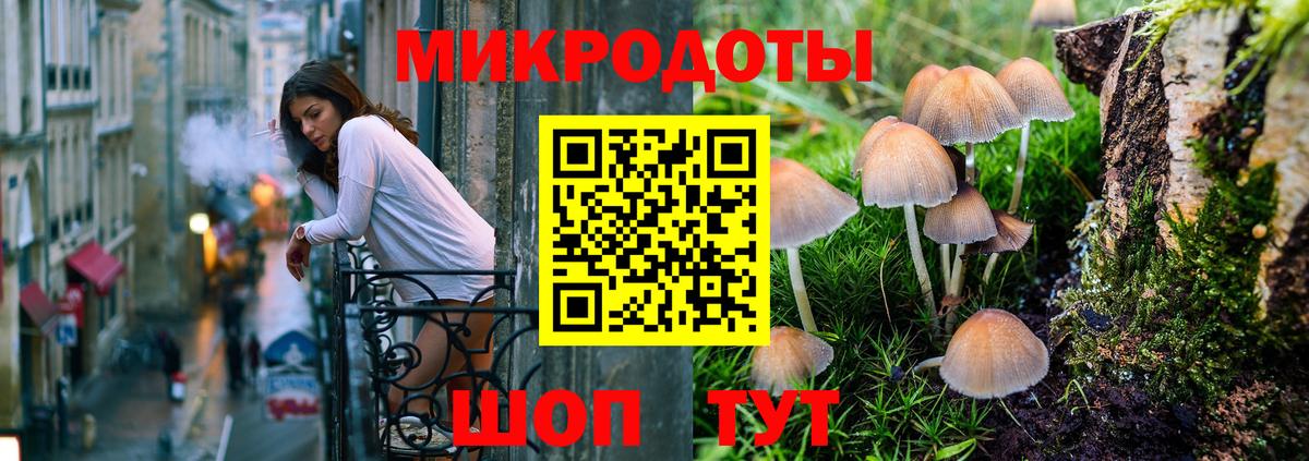 Саянск  магазин  наркотиков  Вход с VPN  Псилоцибиновые грибы Cubensis  Псилоцибиновые грибы GOLDEN TEACHER 